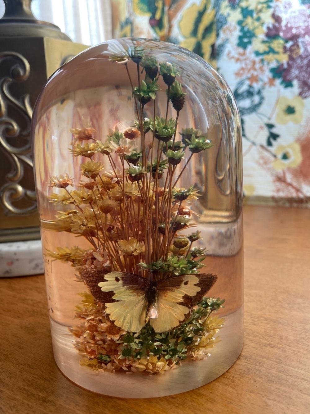 Vintage Daisyglas Floral Paperweight Dried Flowers Incased Lucite Butterfly 1980